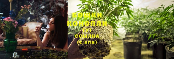 стафф Осинники