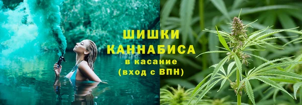 стафф Осинники