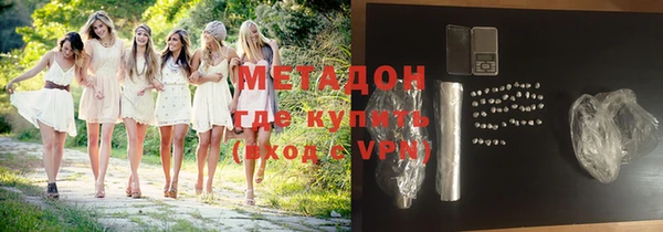 индика Нягань