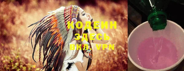 стафф Осинники