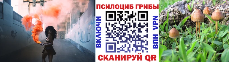 маркетплейс клад  Лебедянь  Галлюциногенные грибы Psilocybine cubensis 